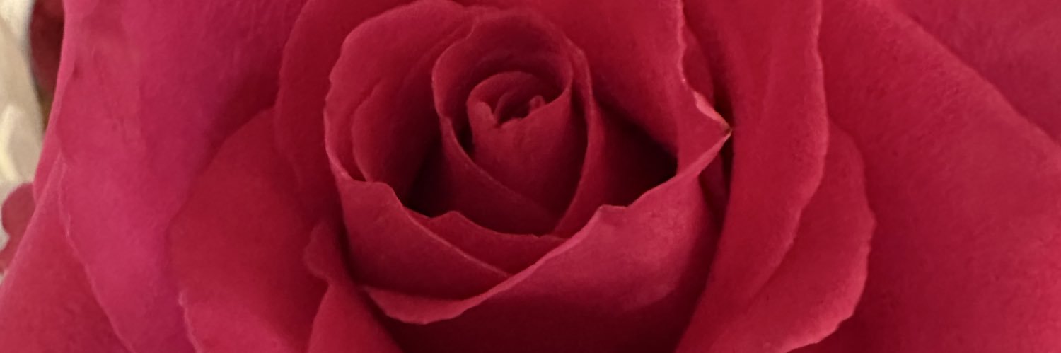 Sheila2wb's profile banner image