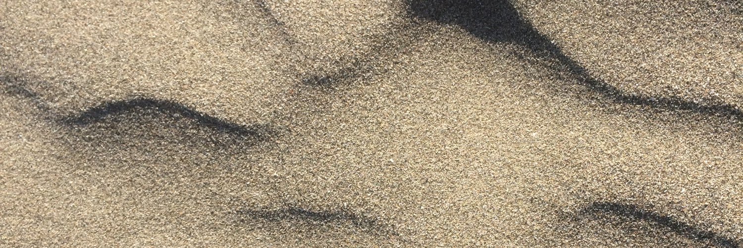 alicecontero's profile banner image