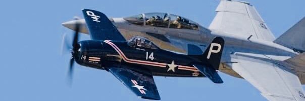 Leebee14 🇺🇸🧢 banner