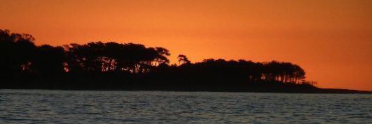 Andrea Collarini banner