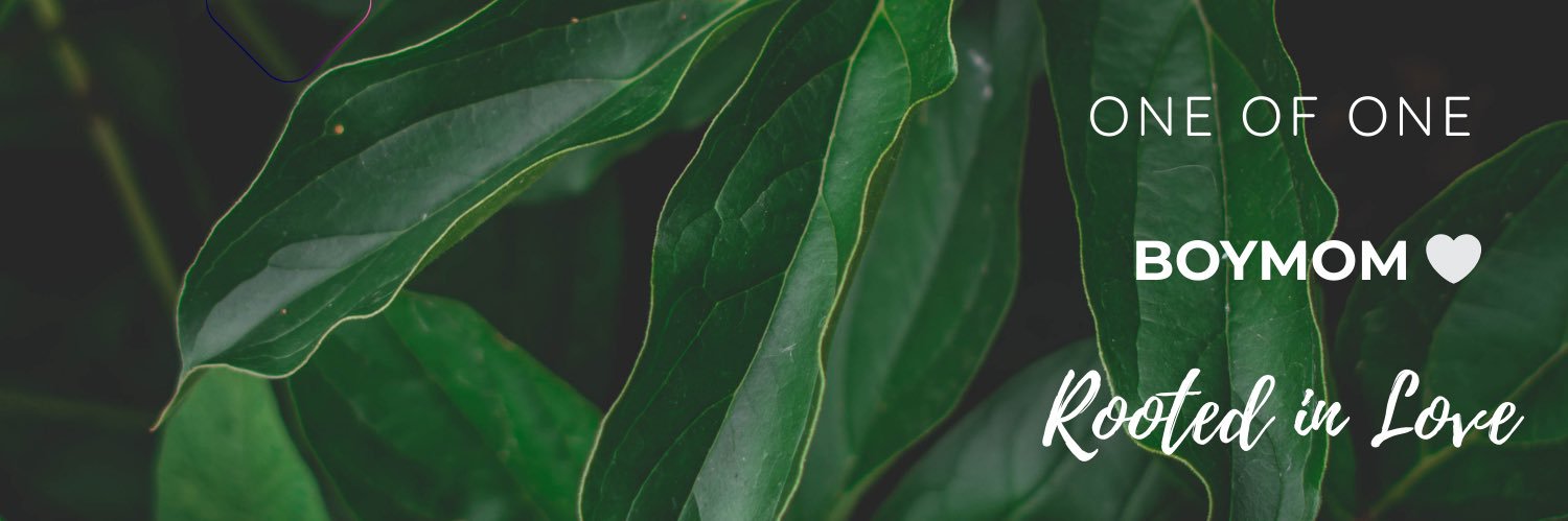 BoyMom1of1's profile banner image