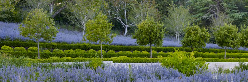 Andrea Cochran Landscape Architecture banner