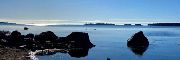 panuautio Profile Banner