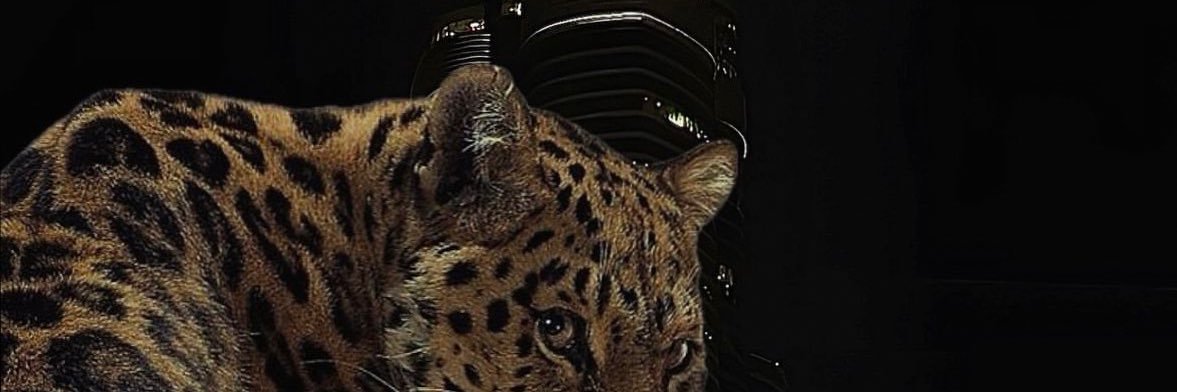 Lmeuncute's profile banner image