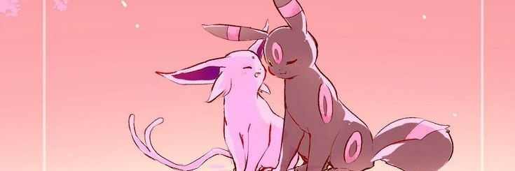 solace ✨️ banner