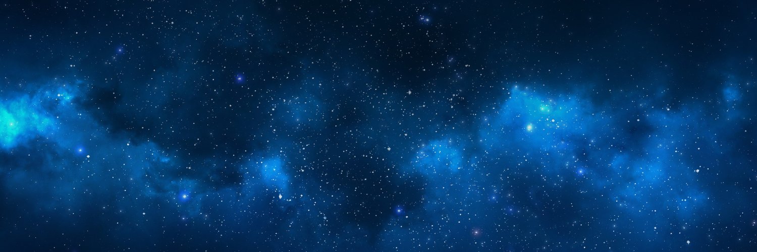 Francisco Flores banner