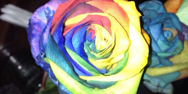 XiomyBV's profile banner image