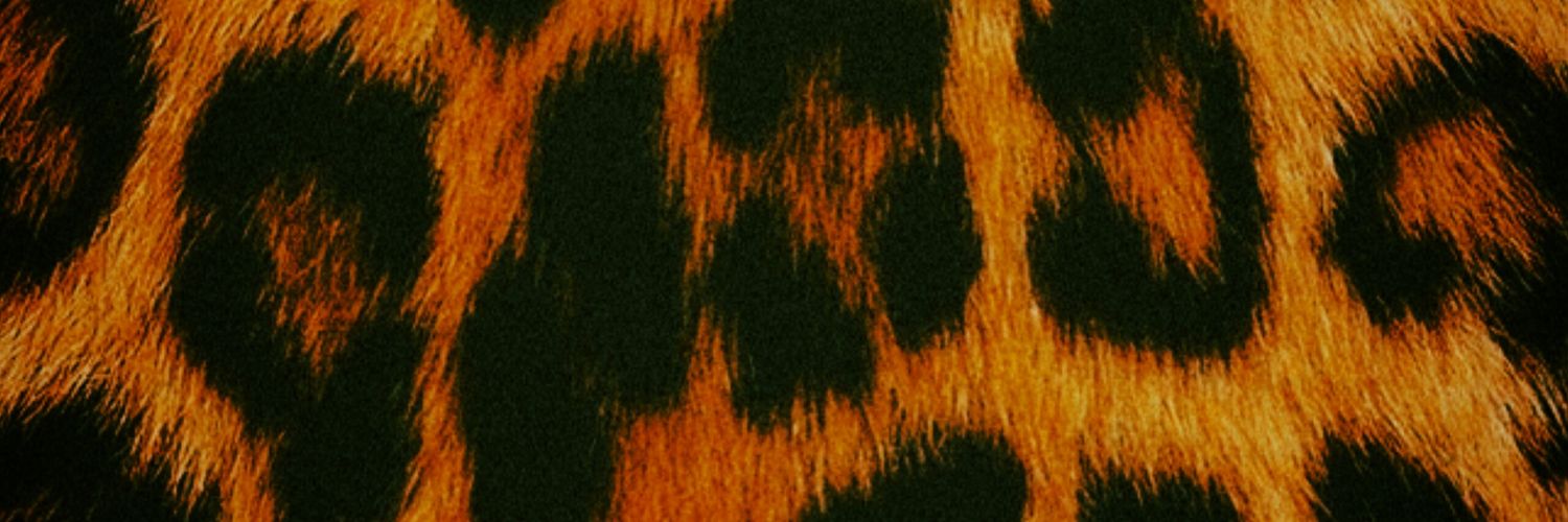 MininaRangoA's profile banner image