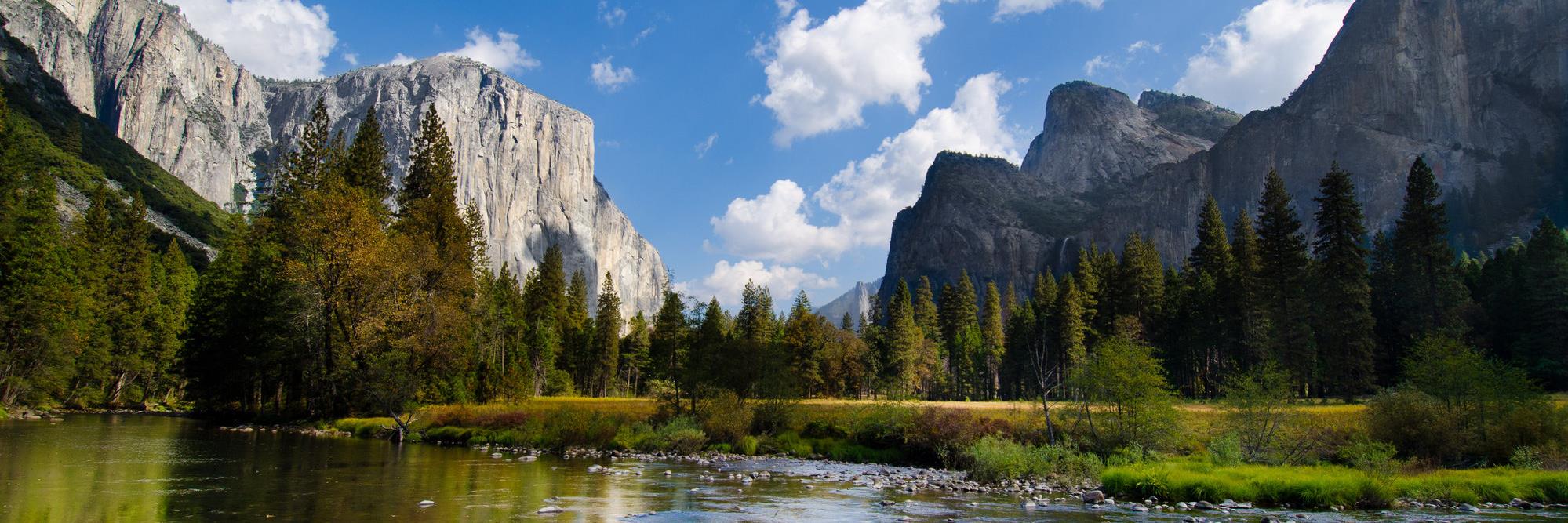 Francisco Gaytan banner