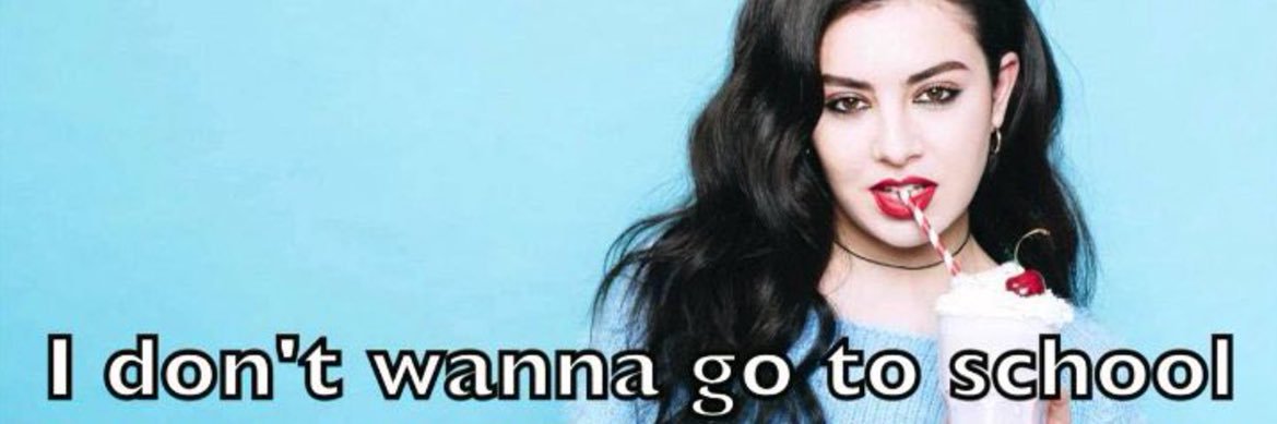 pedro pedroca cara de piroca banner