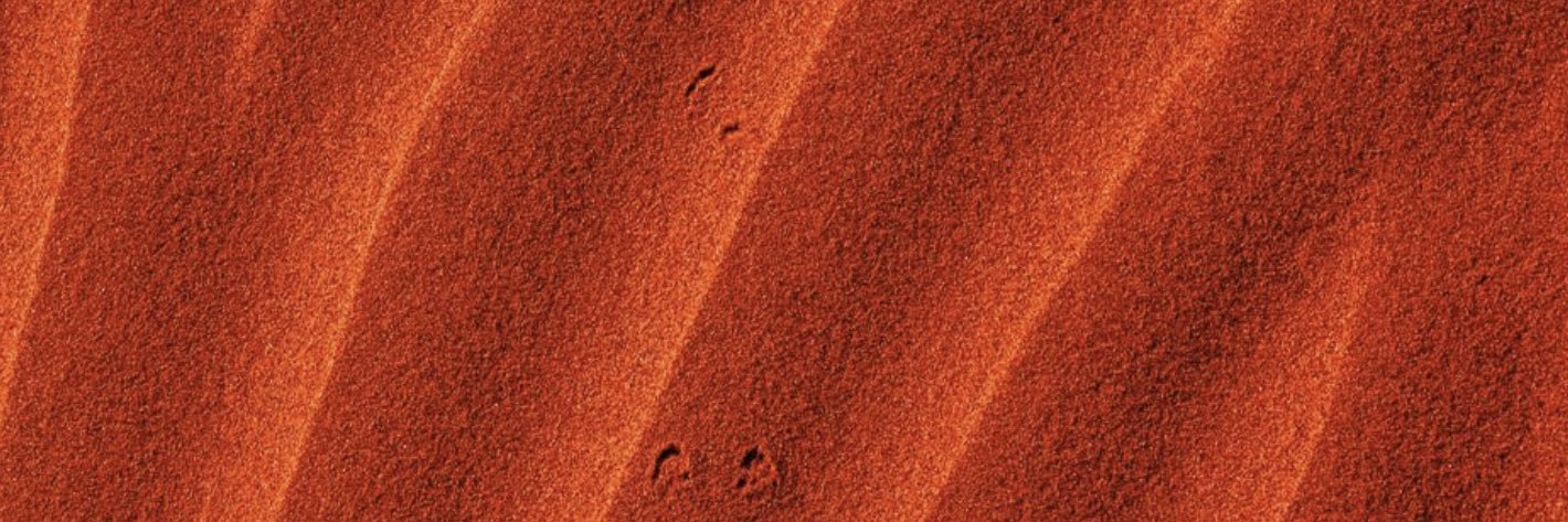 Something Burger banner