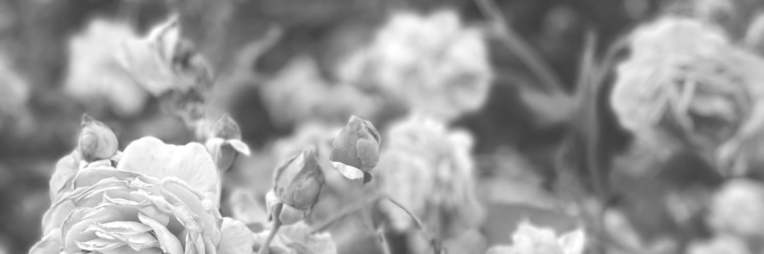 _mochihao_'s profile banner image