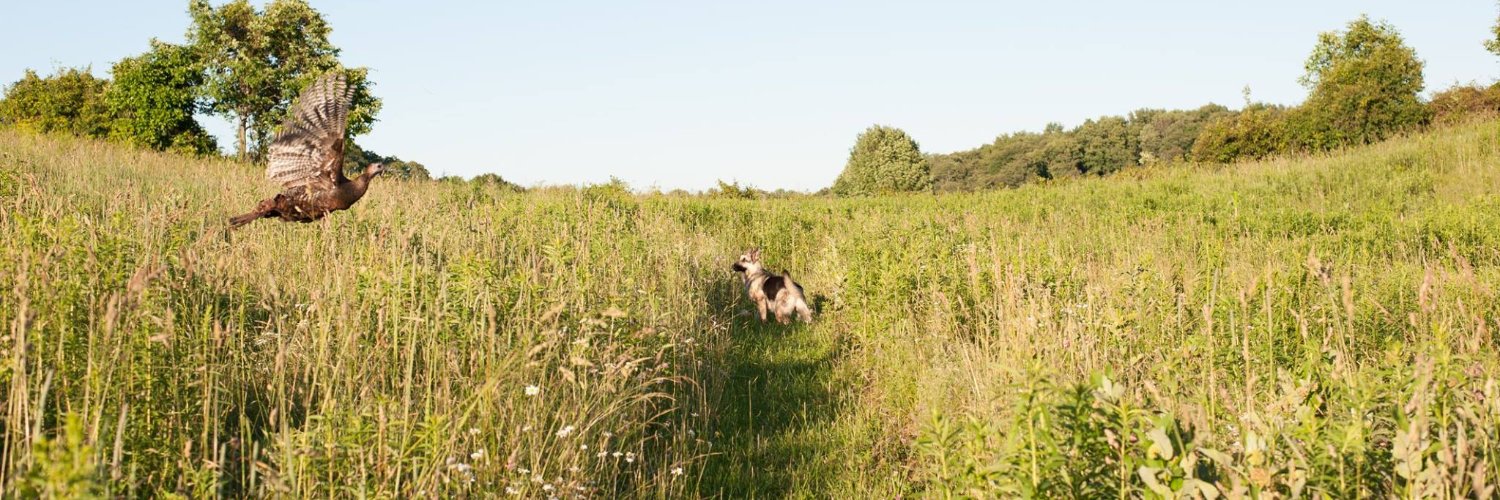 Ken the Farmer banner