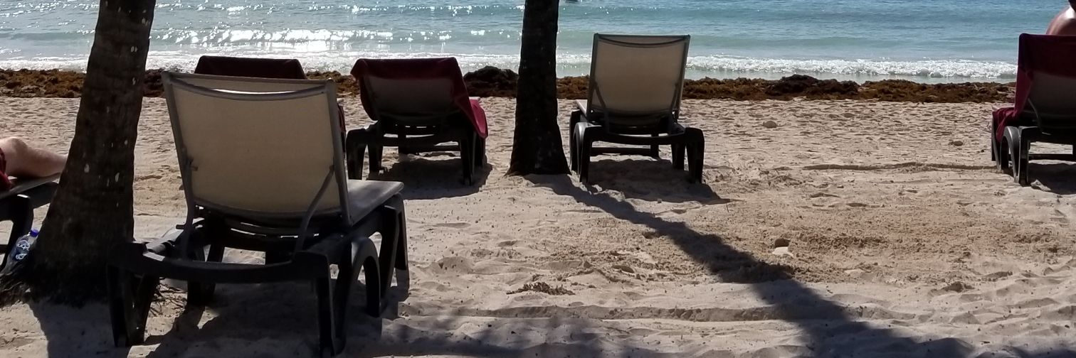 sassymonkey71's profile banner image