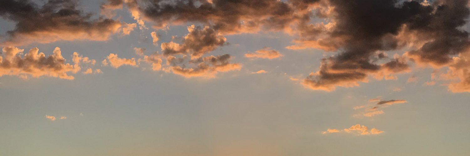 FierekSarah's profile banner image