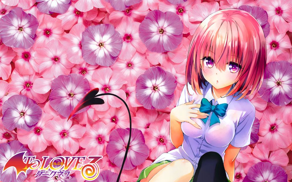 LewdfulMomo's profile banner image