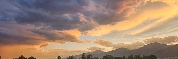 marygoodtrouble Profile Banner