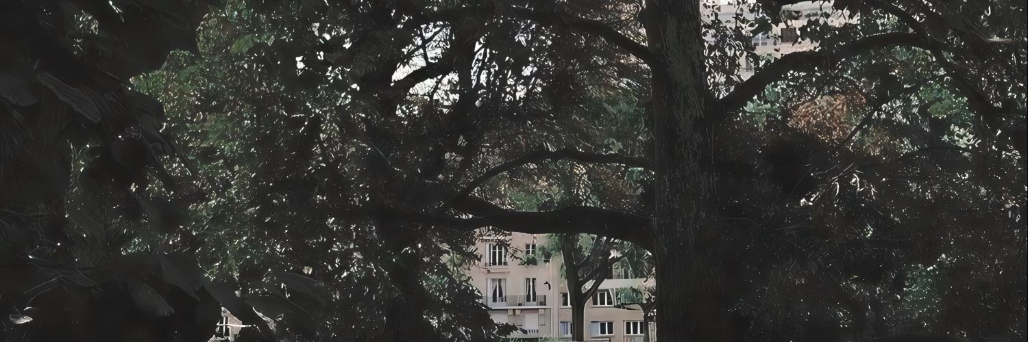 jamesofcortis's profile banner image