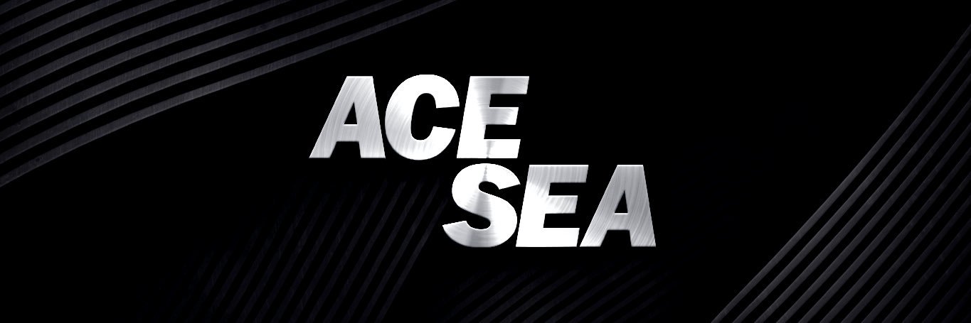 ACESEAAIITE's profile banner image