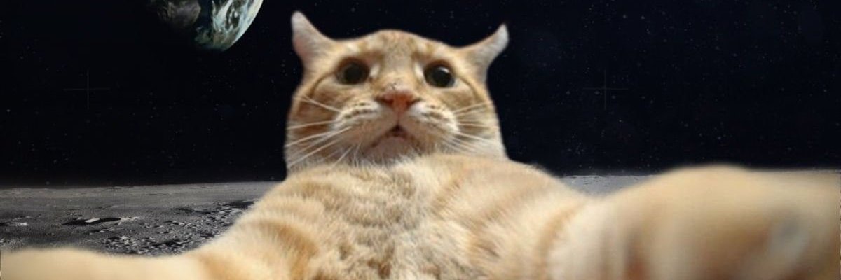 _vbelle's profile banner image