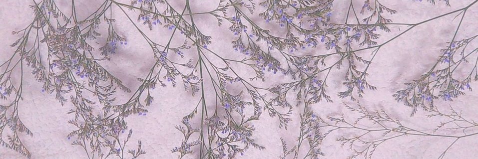 marimochannel1's profile banner image