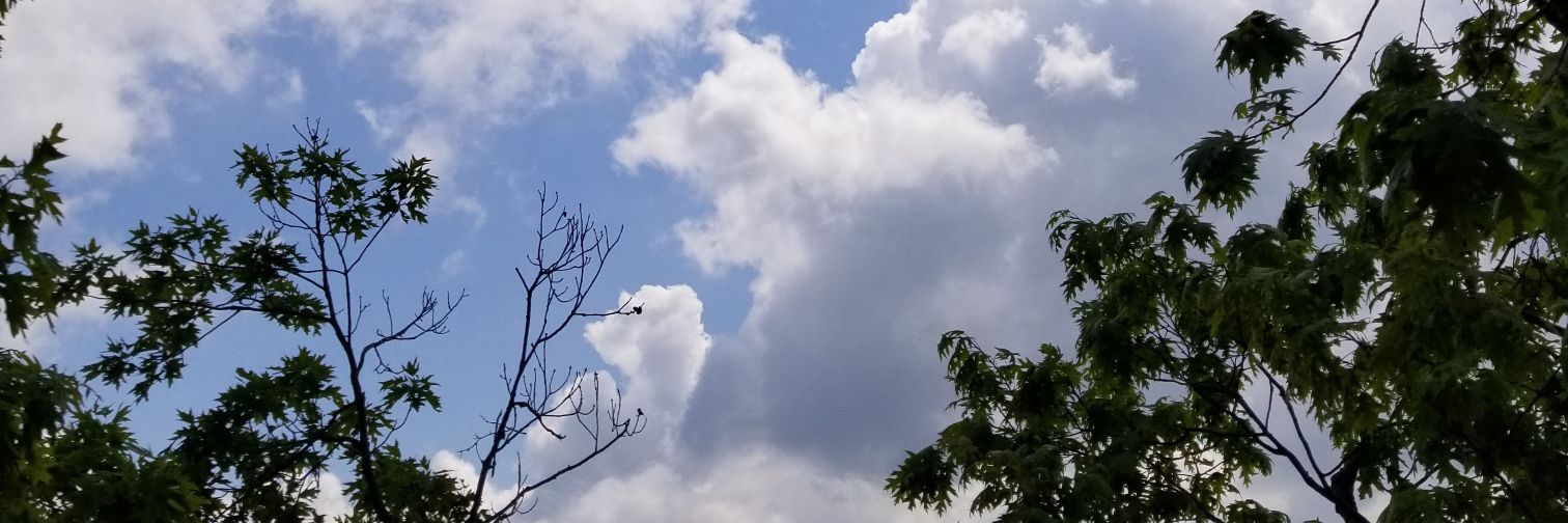 Crazynachii's profile banner image
