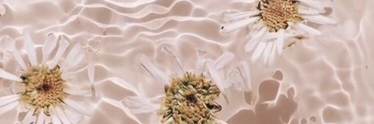 ContiSobrecasas's profile banner image