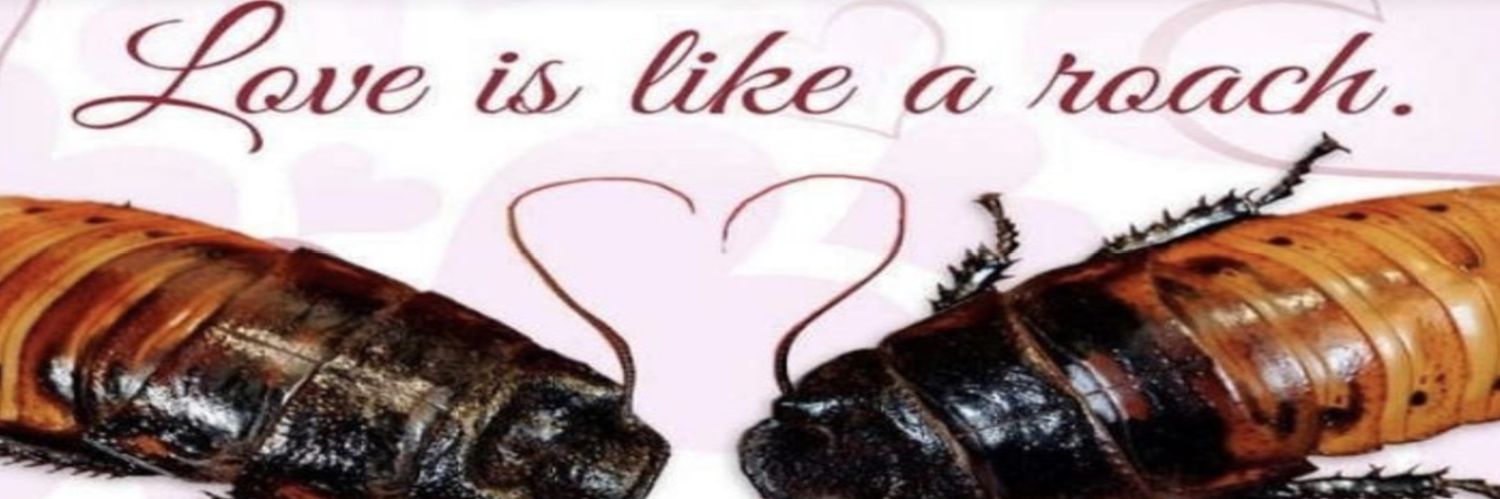 Hilda Fernandez banner