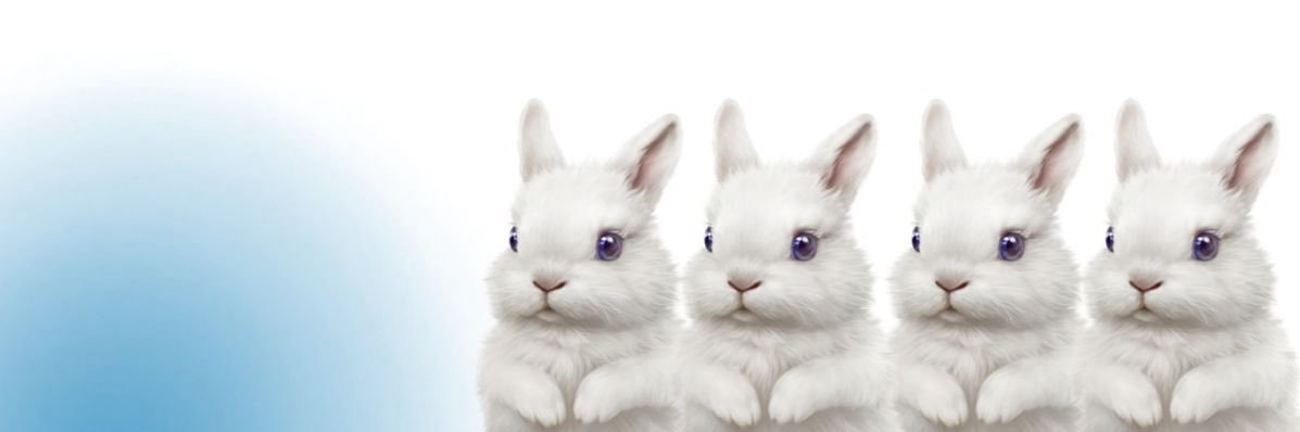 Ი⑅𐑼 banner