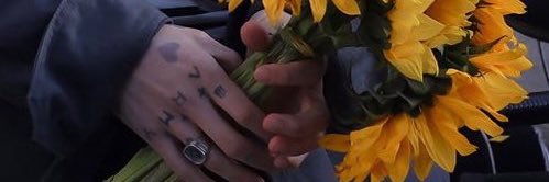 aa.tiaraaa_ banner