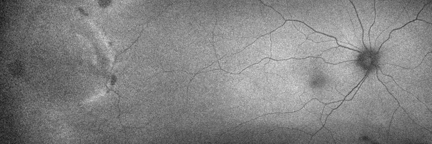 Coleen Magill banner