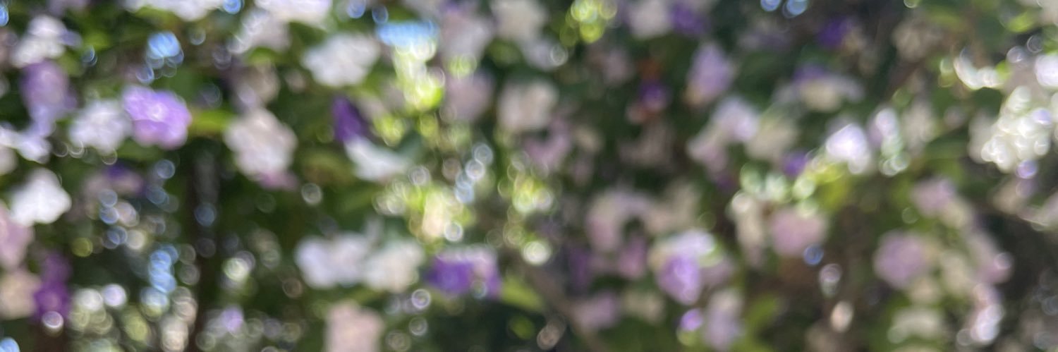 biobeanie's profile banner image