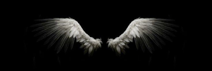 sage_static404's profile banner image