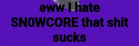 sn0wcore's profile banner image