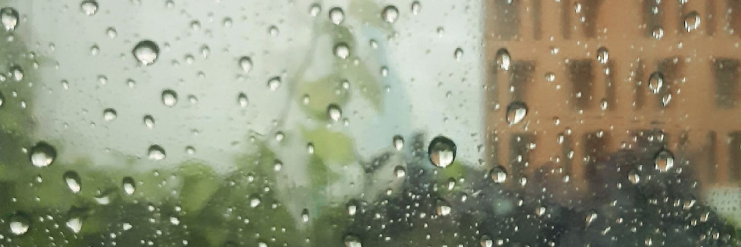 sal🍉 banner