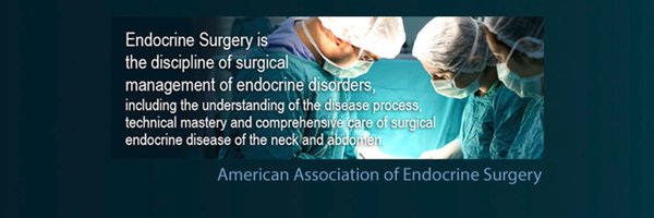 TheAAES Profile Banner