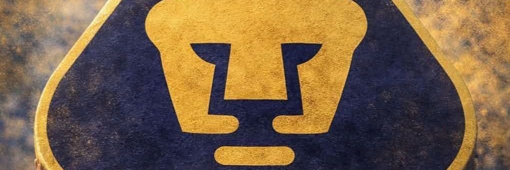 Fernando Bolaños Viveros banner