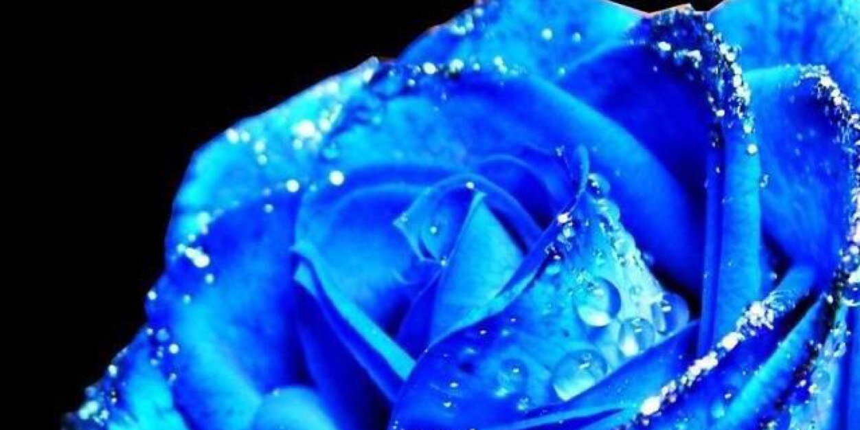 Sams_Hott's profile banner image