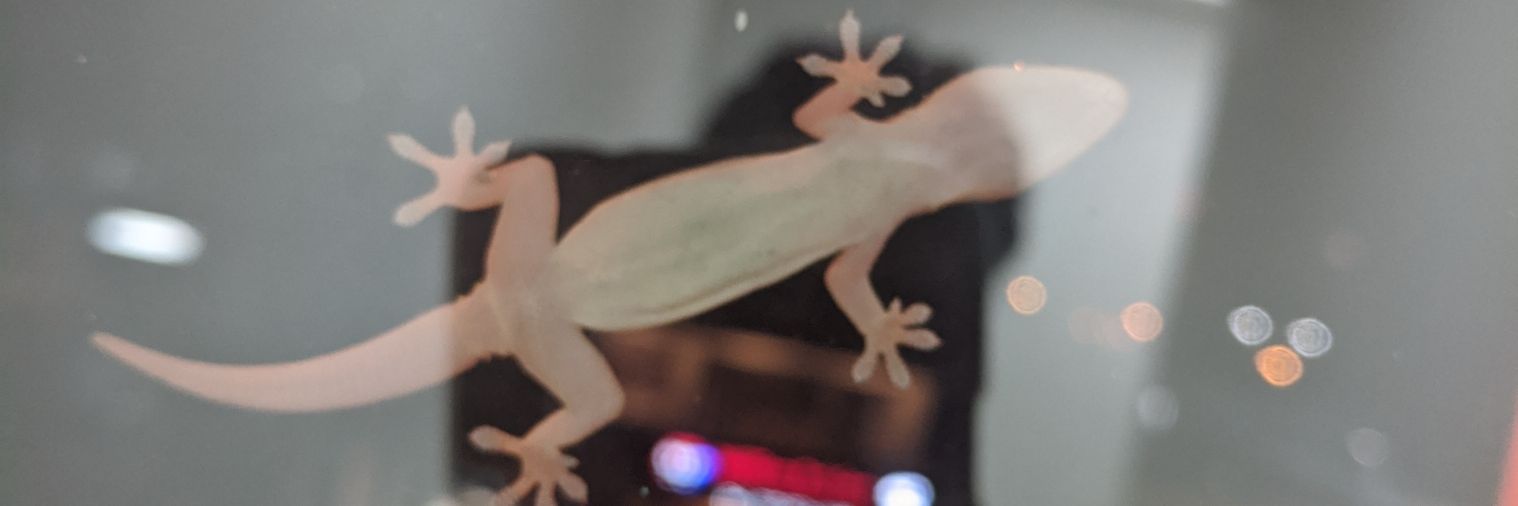 WarrenR20's profile banner image