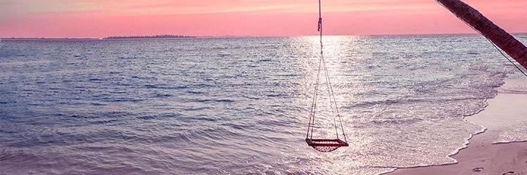 УUKI🐬16y15y🐤35w2d→1y banner