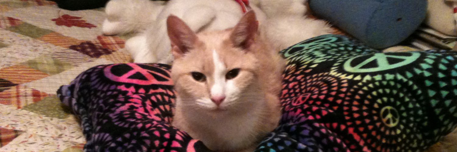 PiccoloCat's profile banner image