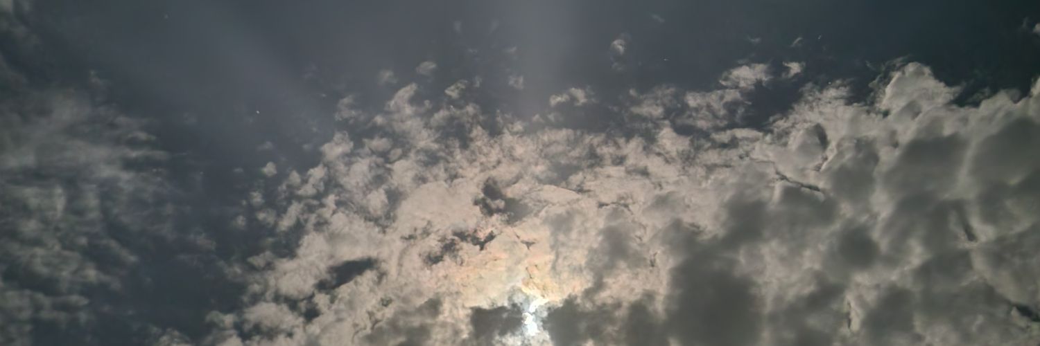 spider9929's profile banner image