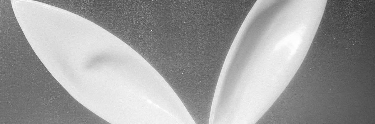 alara banner