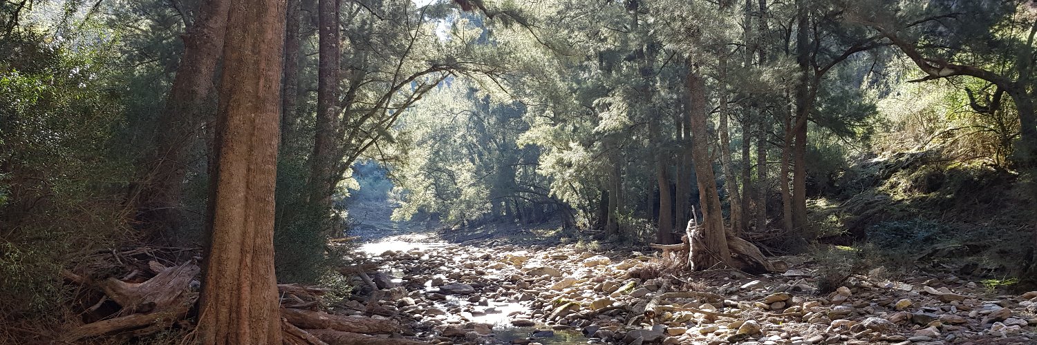 PennyPingWing's profile banner image