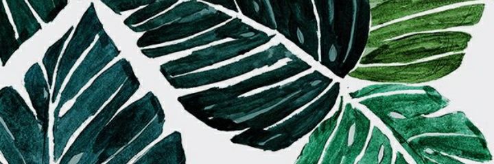 FlowerEarthOk's profile banner image