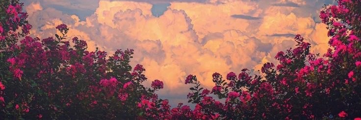 Bellacoopeym's profile banner image