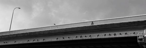 Oonix231 Profile Banner