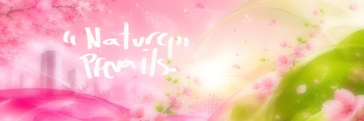 Nixie_Wixie's profile banner image
