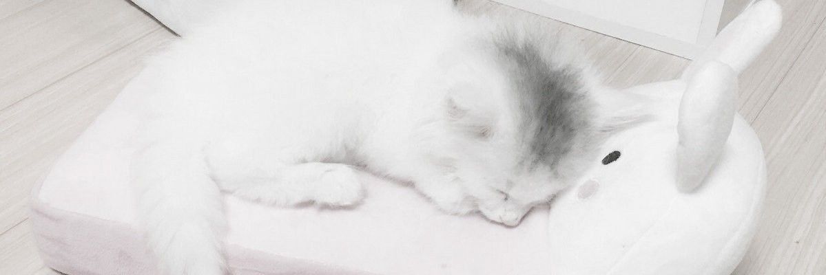 u banner