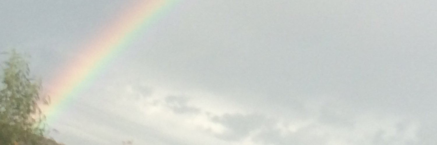 queervers's profile banner image